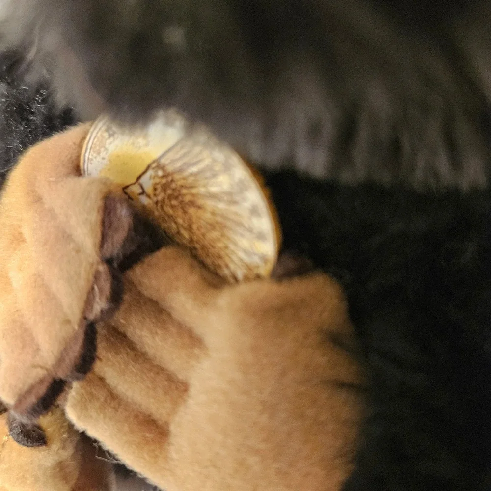 Niffler Stuffed Noble Collection Fantastic Beasts Harry‎ Potter Plush 8